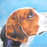American Foxhound pic