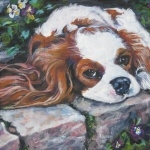 Cavalier King Charles Spaniel high quality wallpapers