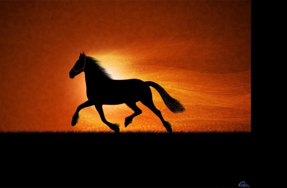 Horse wallpapers high quality