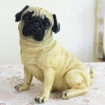 Pug image