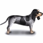 Basset Bleu de Gascogne high quality wallpapers