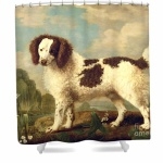 Norfolk Spaniel pics