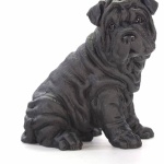 Shar Pei free wallpapers