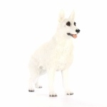 White Shepherd high definition wallpapers