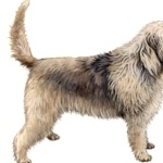 Otterhound free download