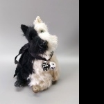 Scottish Terrier photos