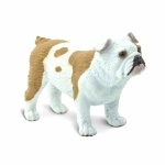 Toy Bulldog photo